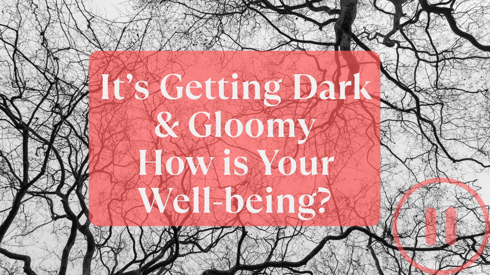 Untitled (560 x 420 px) (960 x 540 px) (1200 x 630 px) (1600 x 900 px) (1600 x 900 px) - 2025-11-12T191936.332