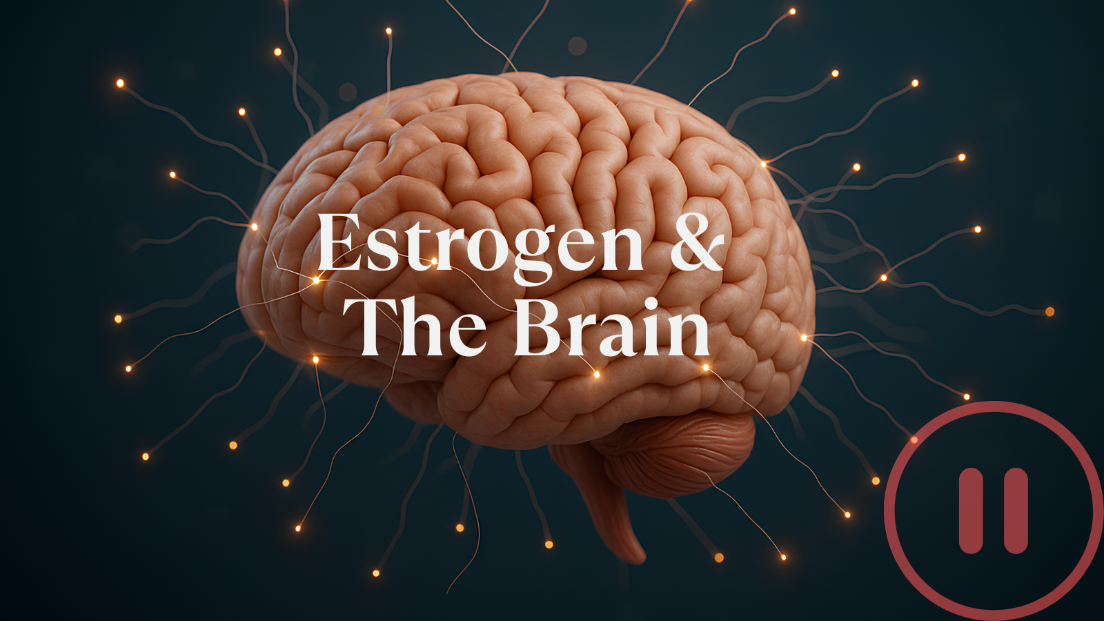 Untitled (560 x 420 px) (960 x 540 px) (1200 x 630 px) (1600 x 900 px) (1600 x 900 px) - 2025-11-12T200800.216